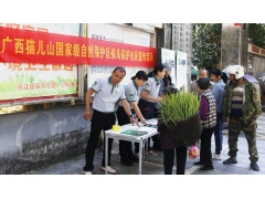 社区生态宣传圩场：候鸟知识“摆摊”啦