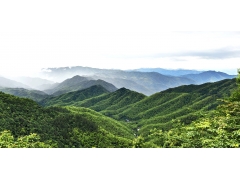 “华南之巅”飞羽盛宴 再谱生态华章? ——第三届广西桂林猫儿山观鸟赛成功举办